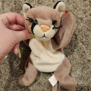 Original TY beanie baby cat Canyon